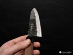 Sakai Takayuki Kurouchi Blue 2 Gyuto 210mm - Image 7
